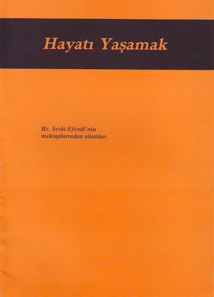 hayati yasamak